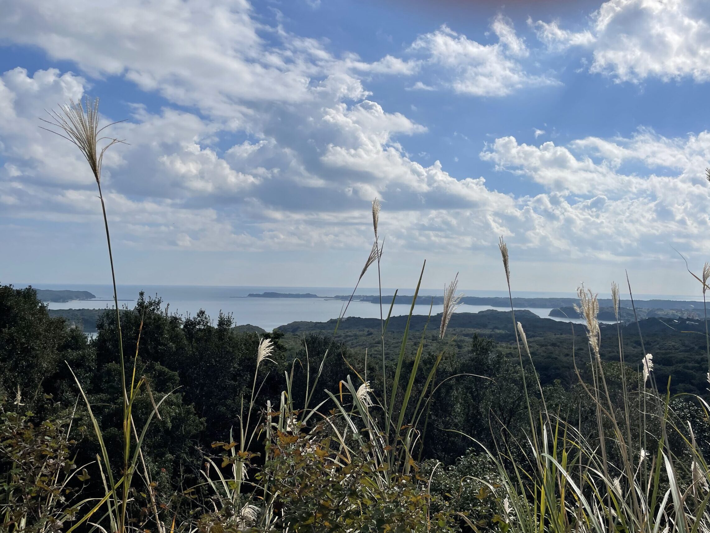 島周辺の景色