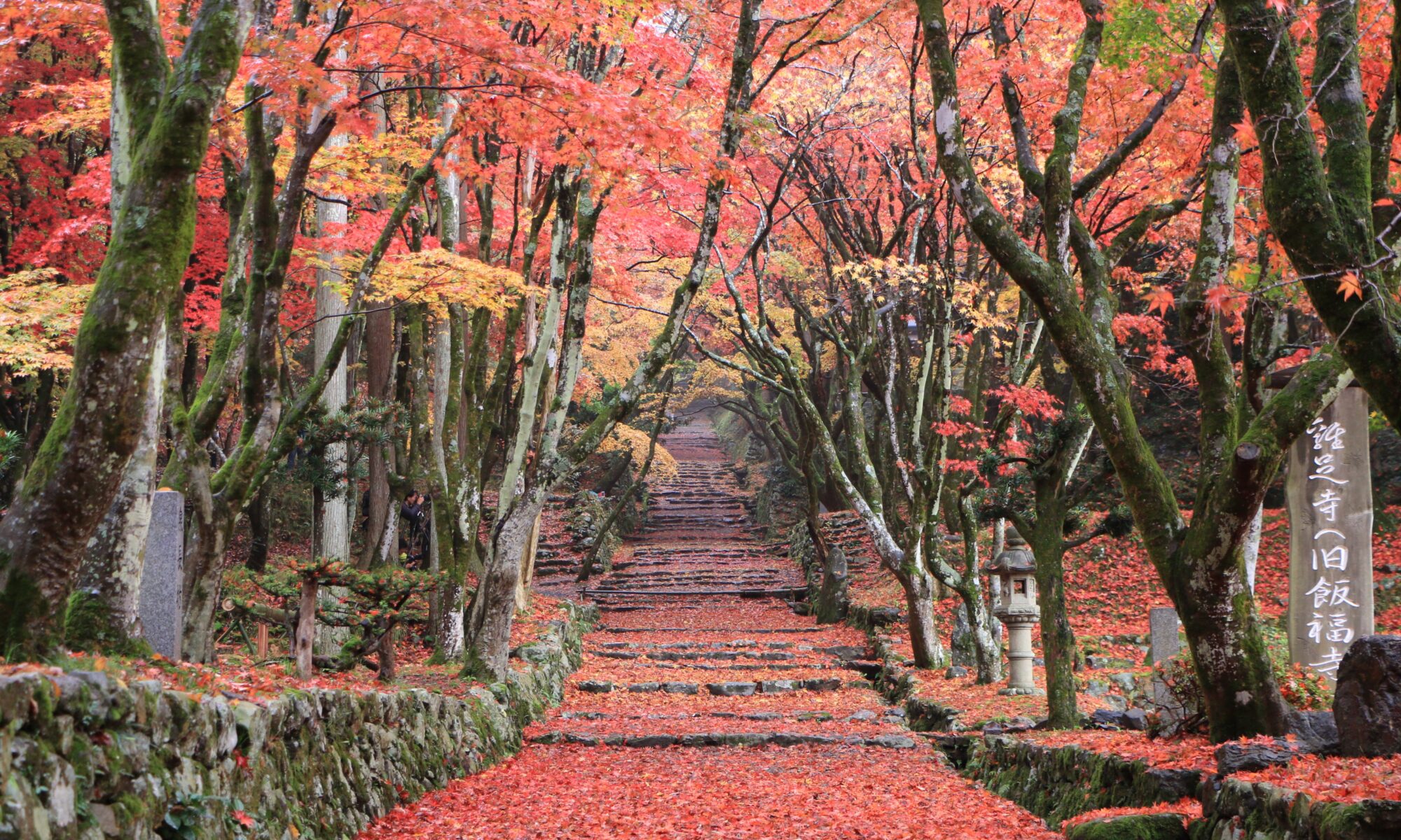 鶏足寺
