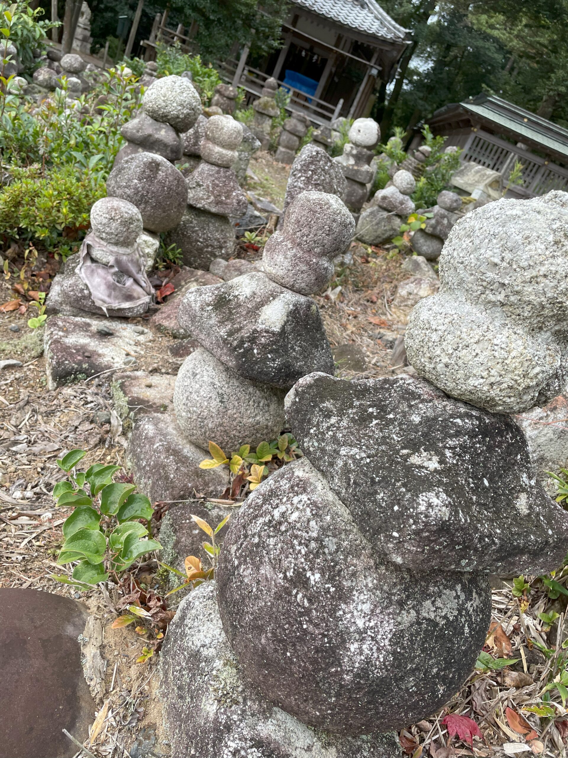 鶏足寺