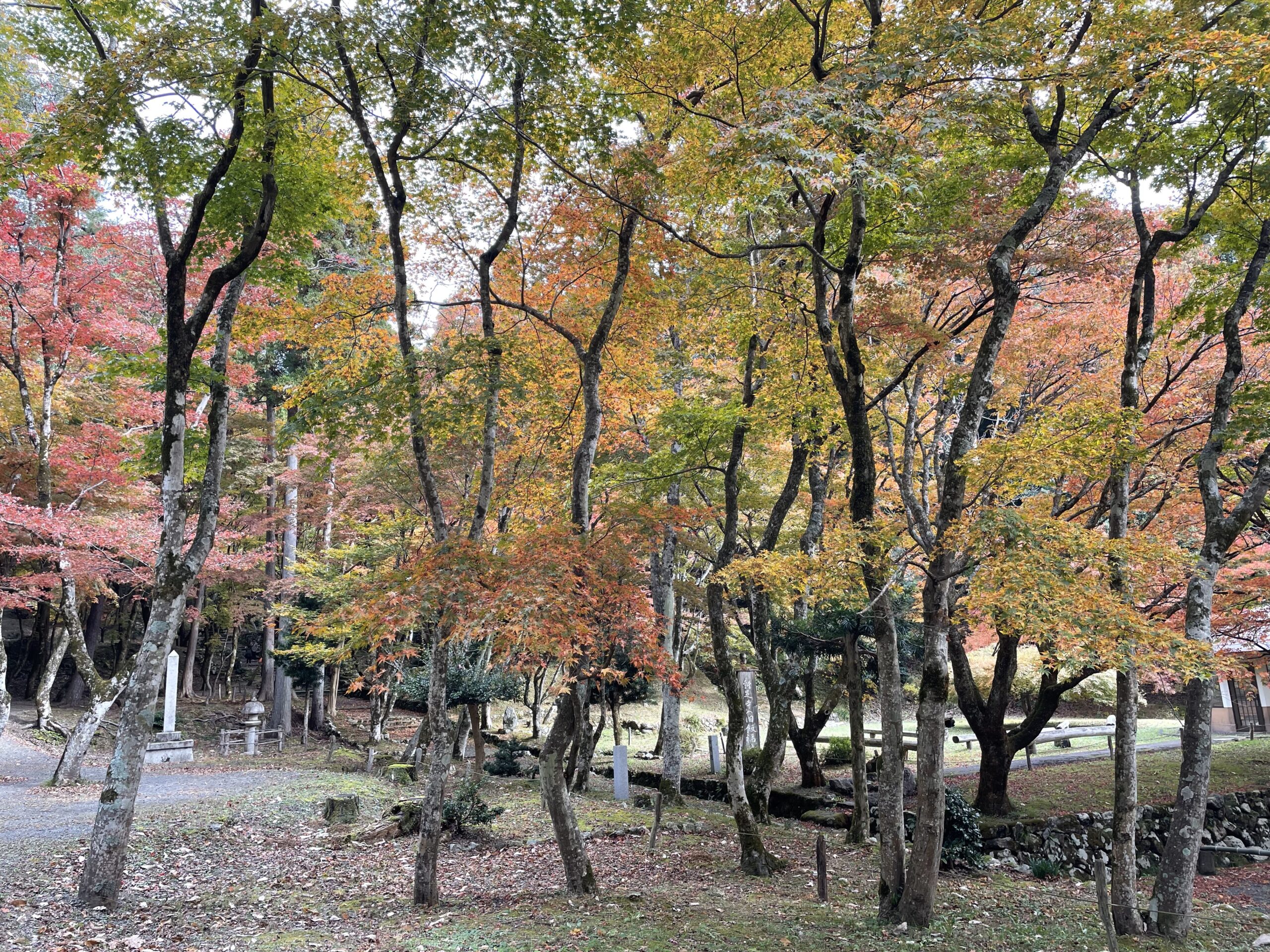 鶏足寺