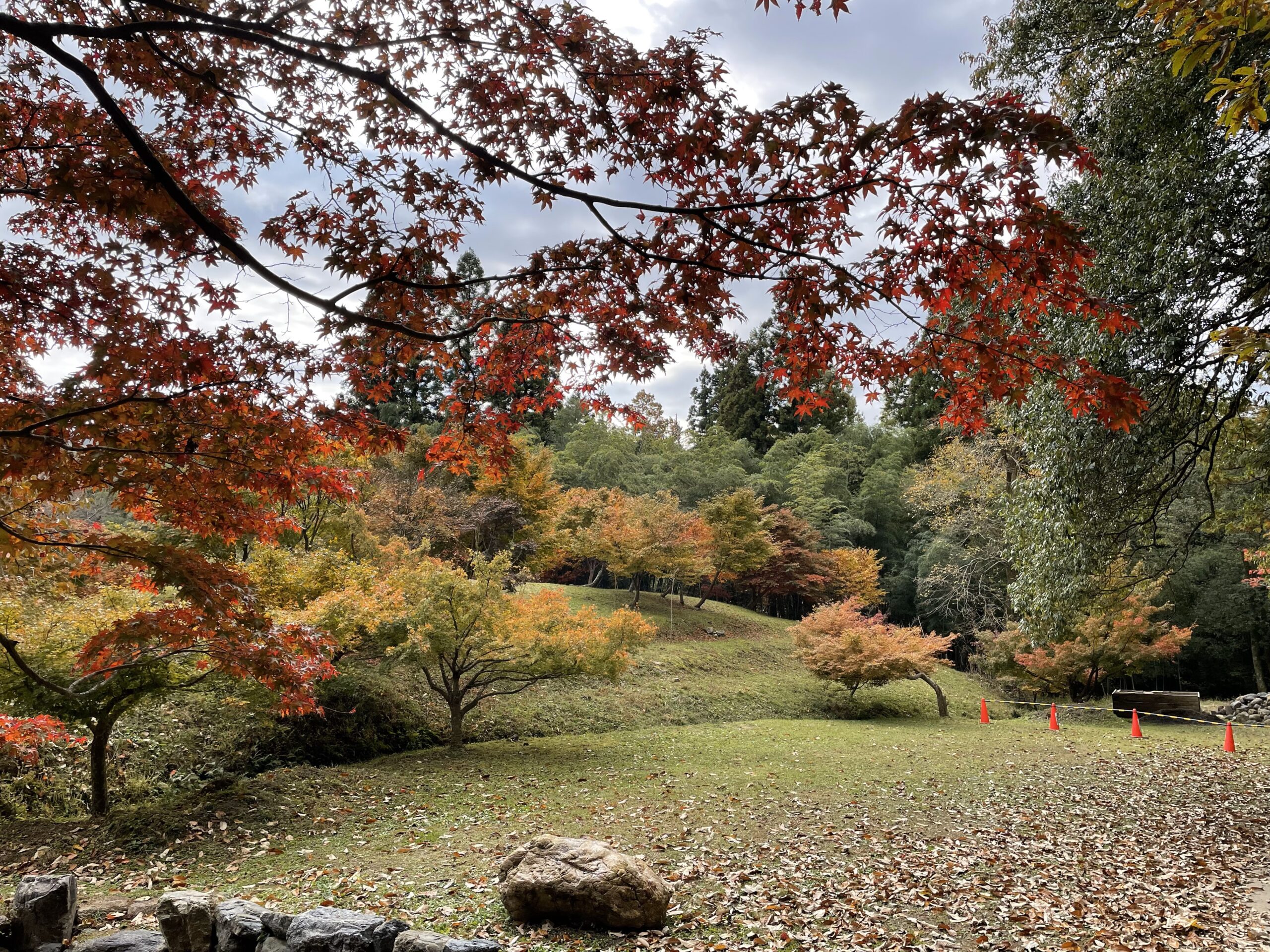 鶏足寺