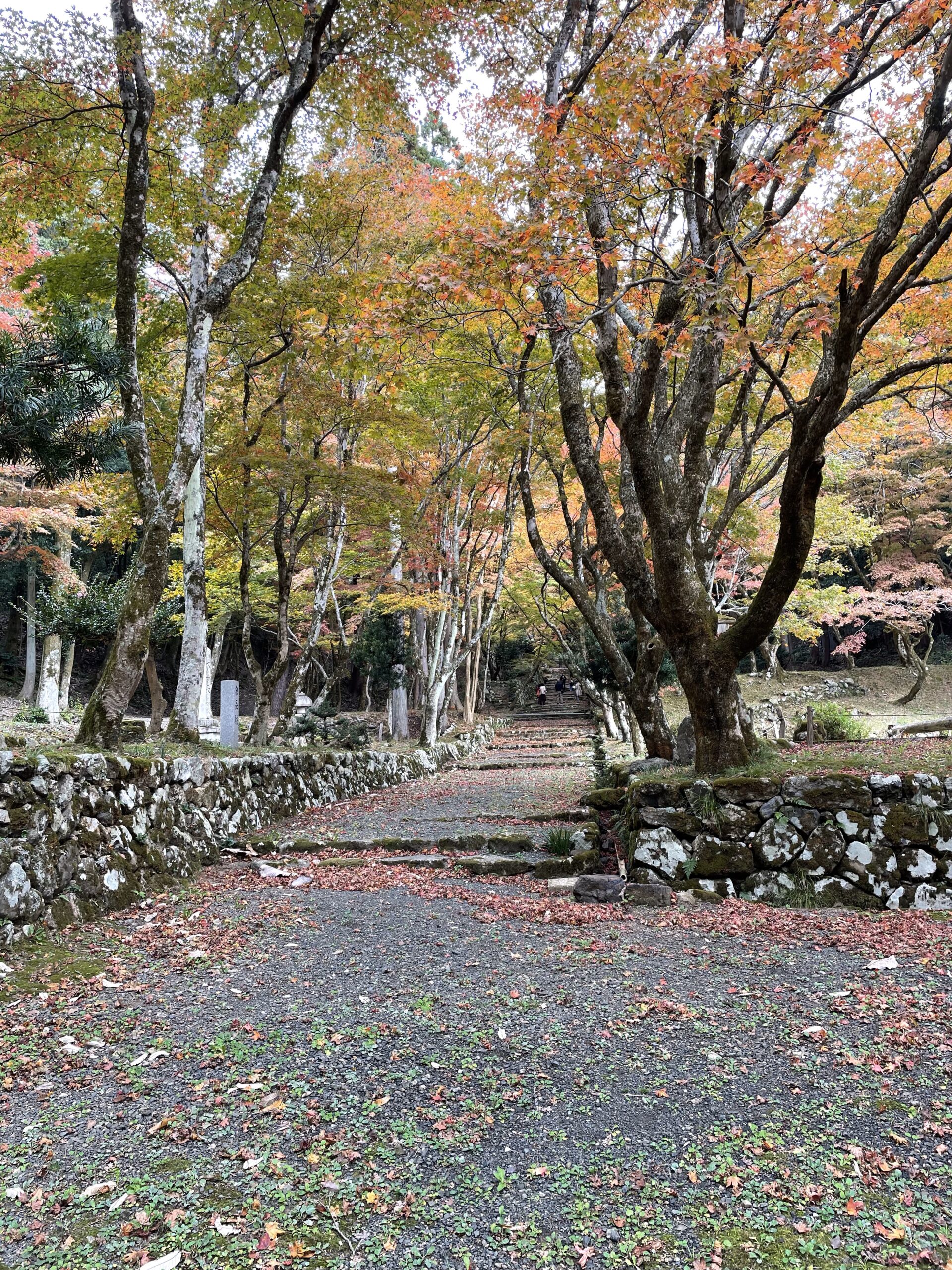 鶏足寺