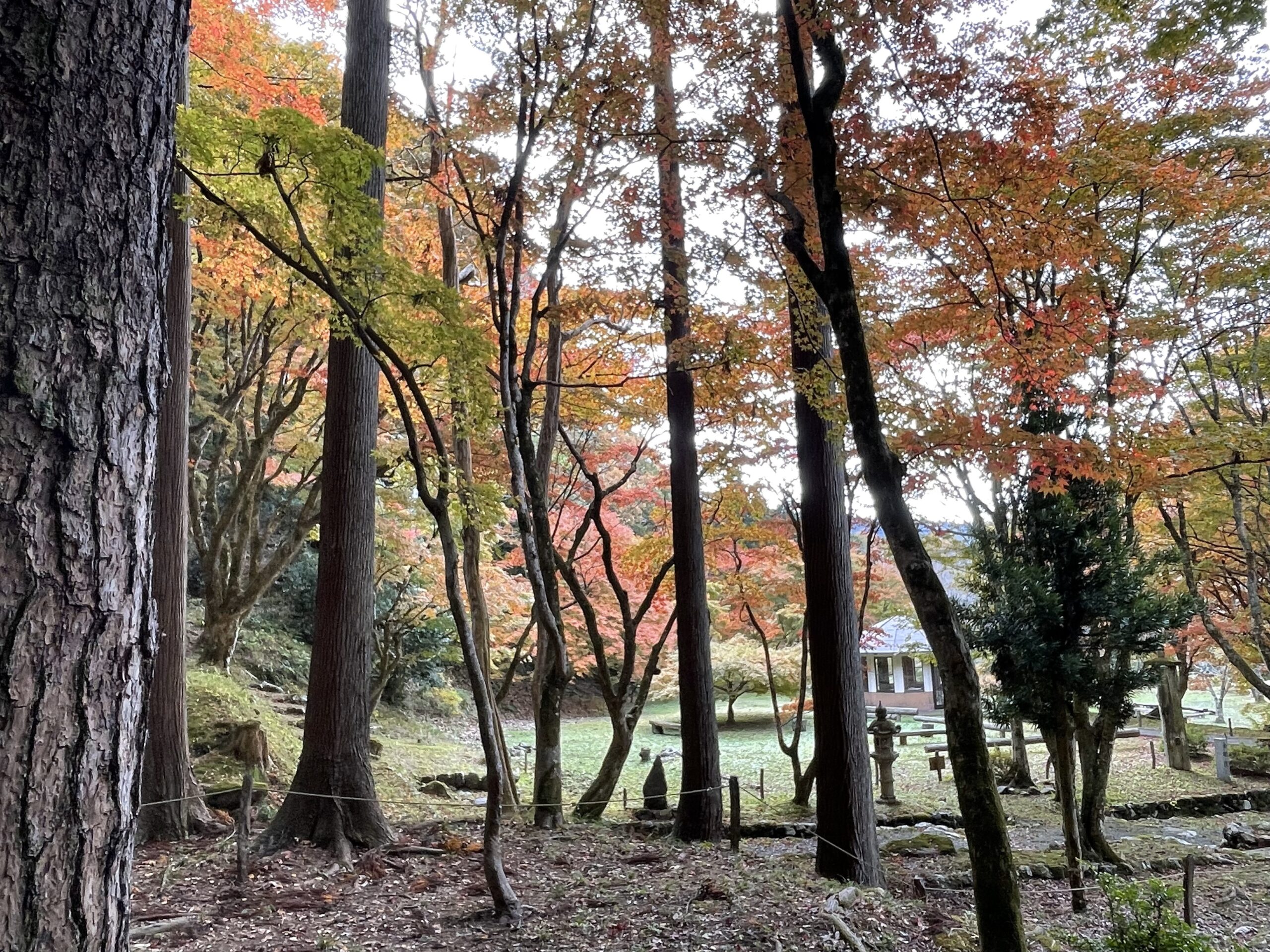 鶏足寺