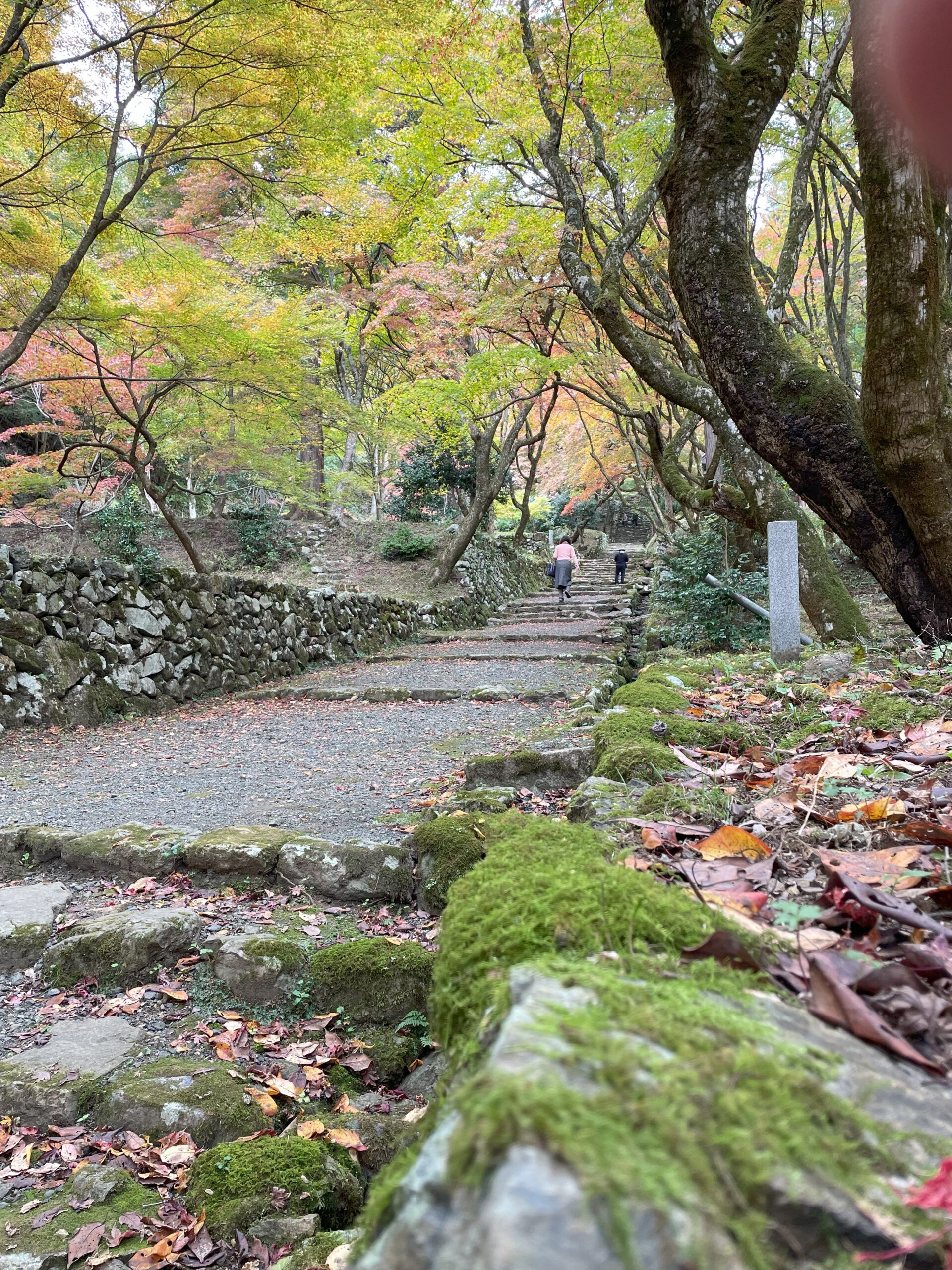 鶏足寺