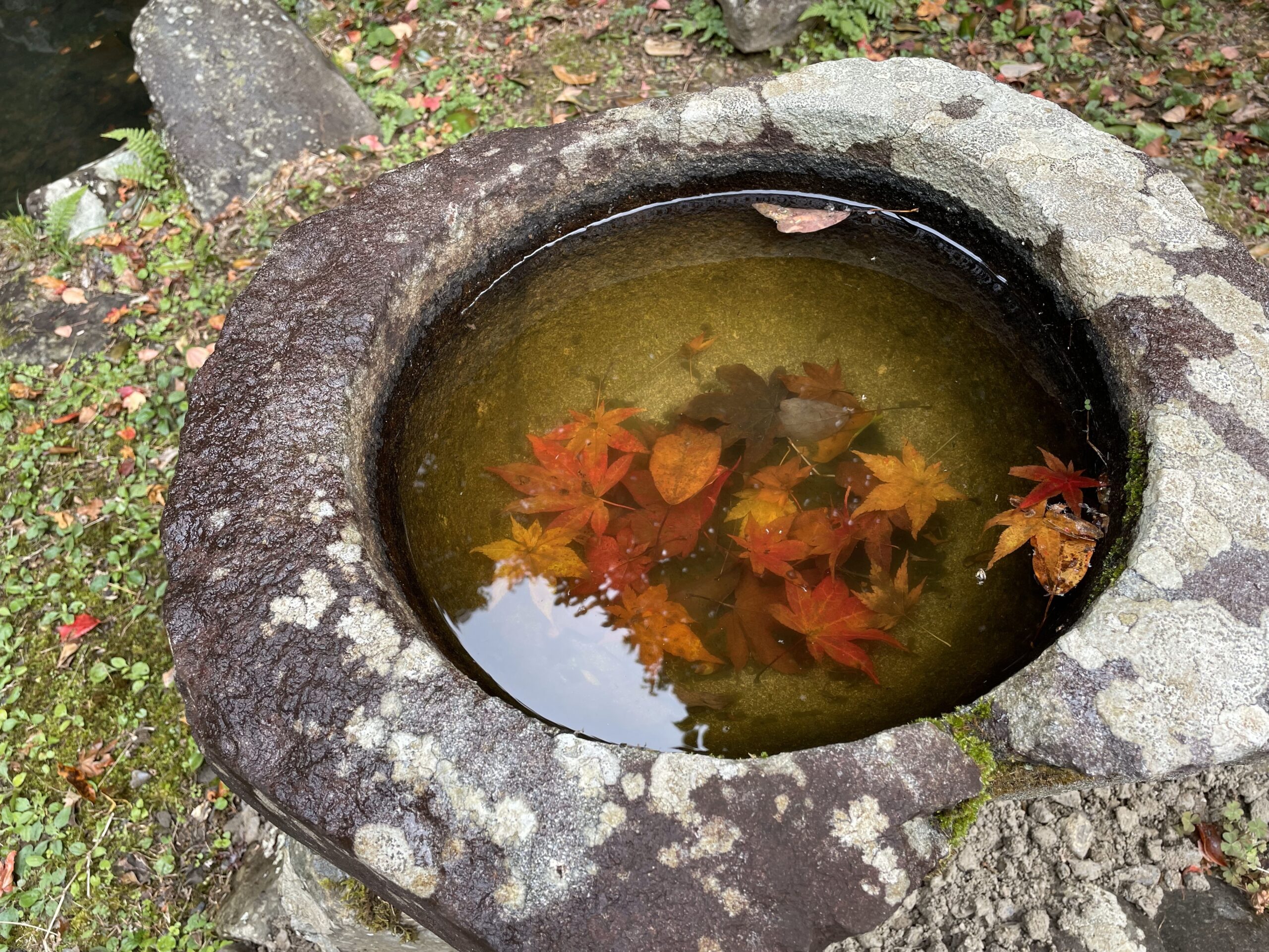 鶏足寺