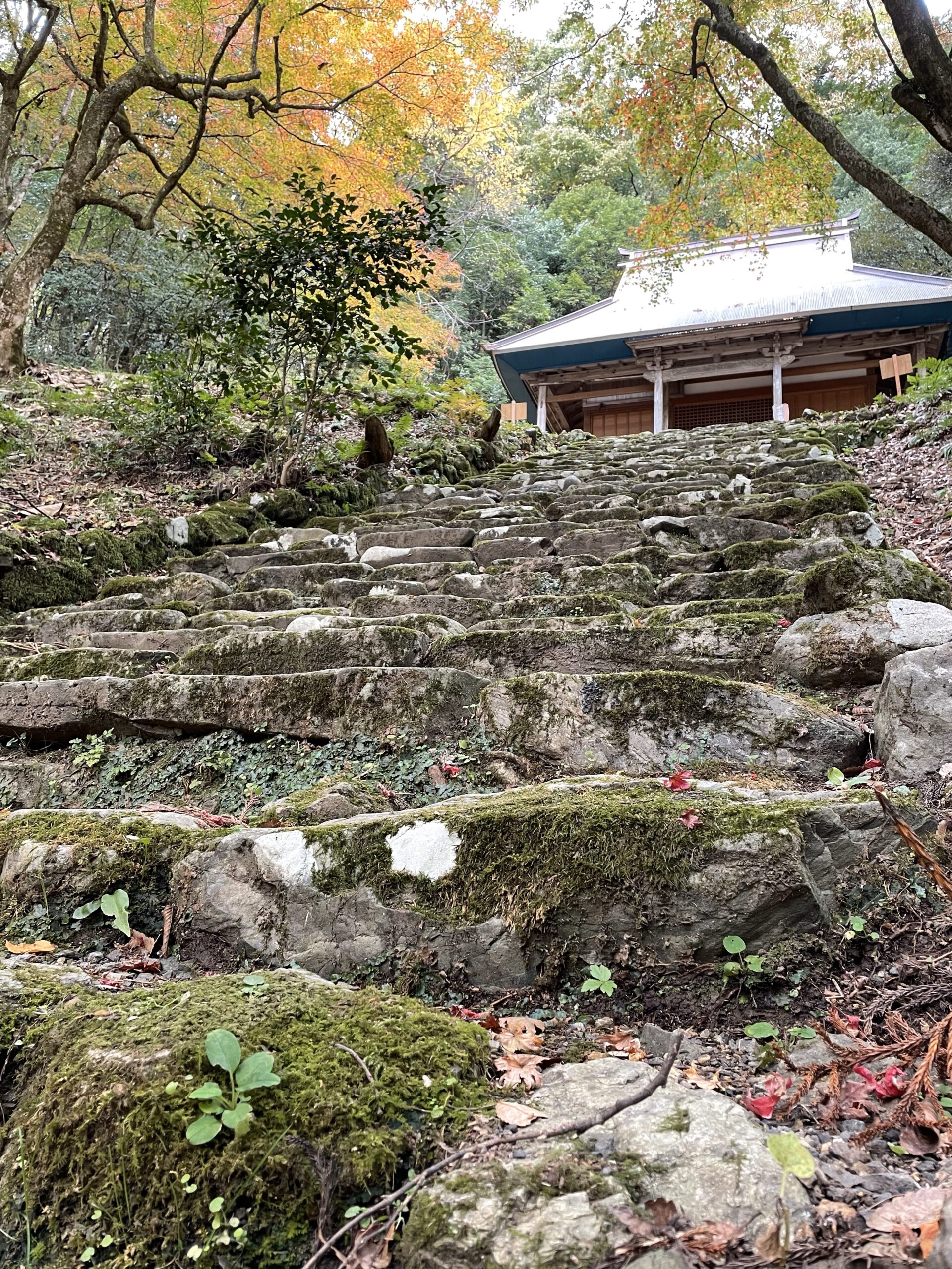 鶏足寺