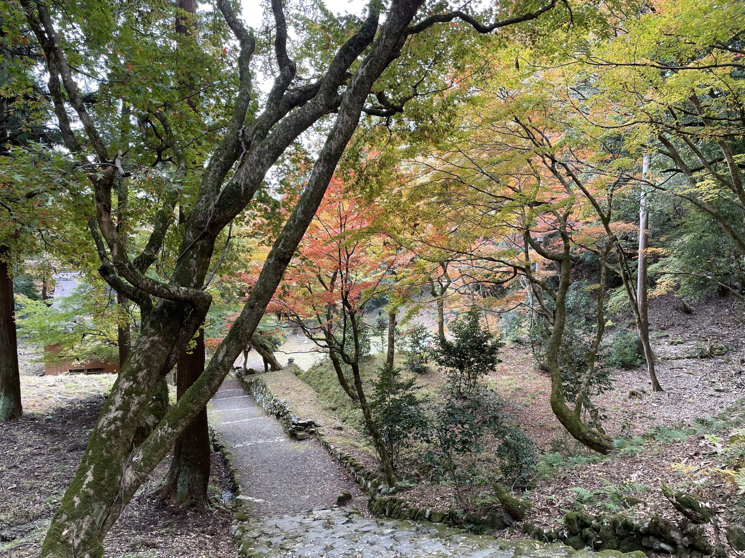 鶏足寺
