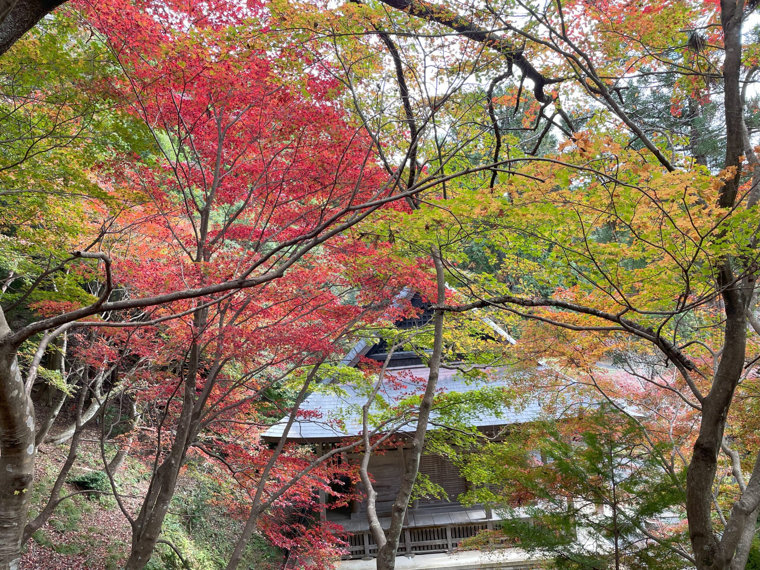 鶏足寺