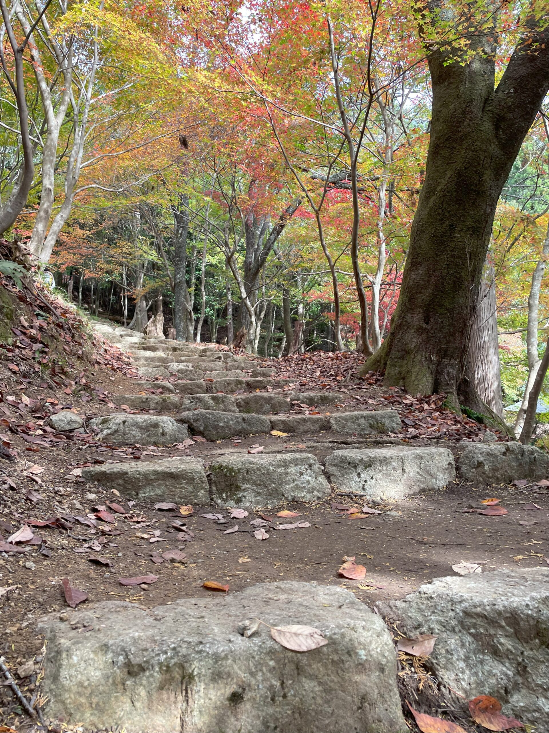 鶏足寺