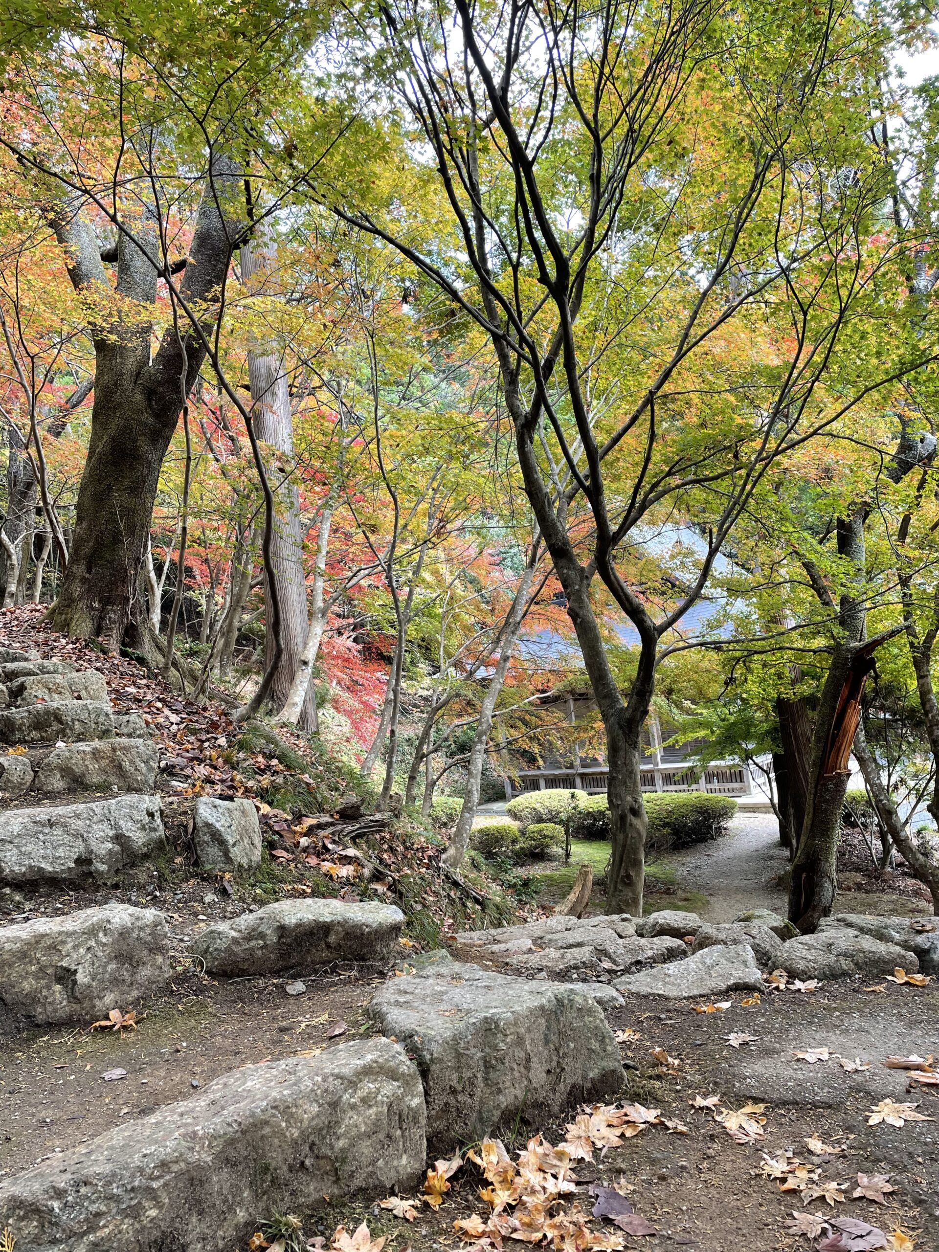 鶏足寺