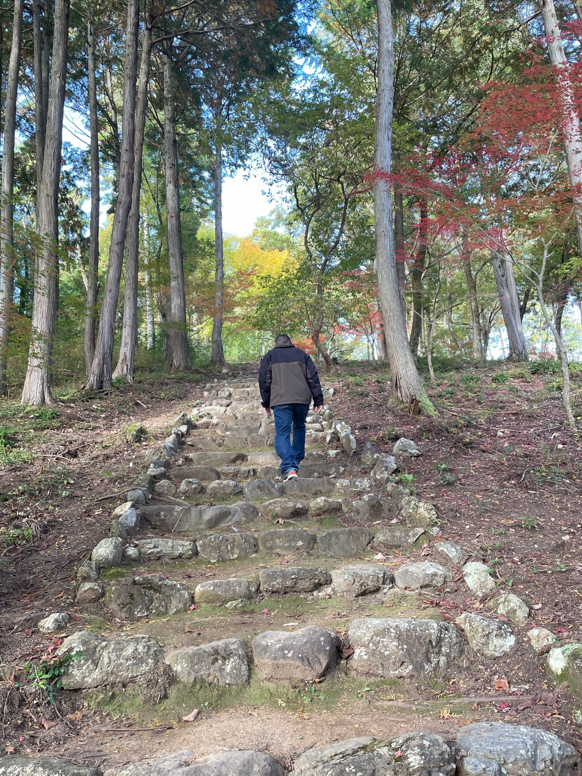 鶏足寺